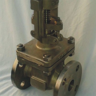 Cast Bronze Gate Valve